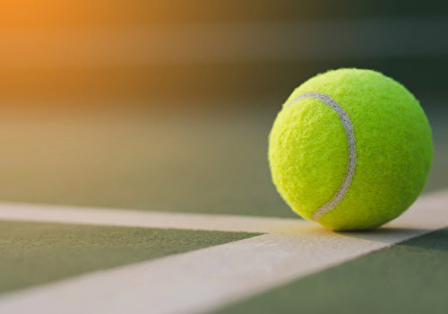 Paddle Tennis Court